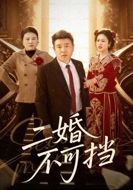 二婚不可挡