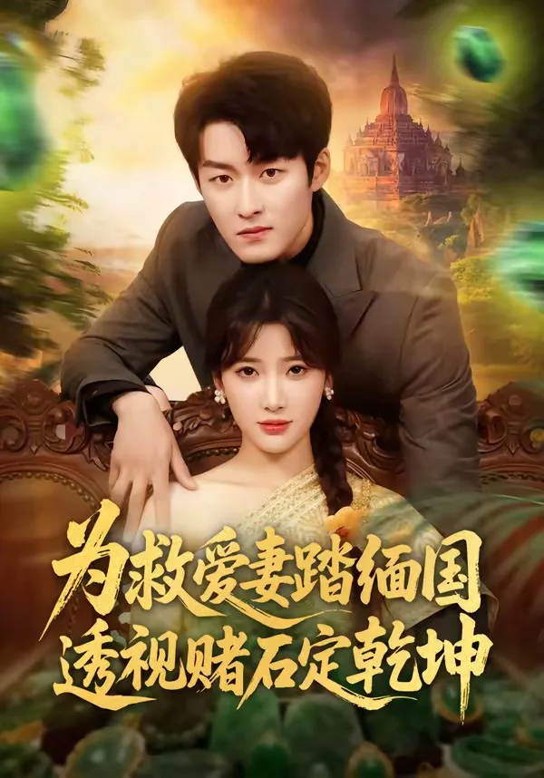 为救爱妻踏缅国透视赌石定乾坤